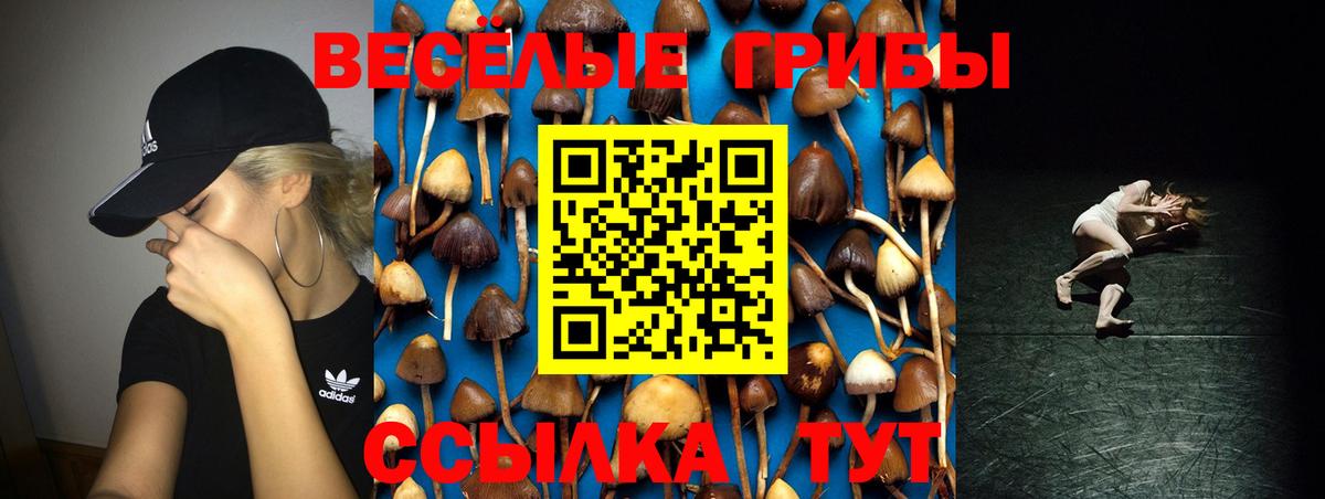 Псилоцибиновые грибы Psilocybine cubensis  Вход с VPN  Псилоцибиновые грибы Cubensis  Нерюнгри 